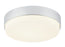 Quintz Ceiling Mount | M13203CH