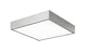 Kashi Ceiling Mount | M13411AL