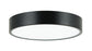 Plato Ceiling Mount | M13701BK