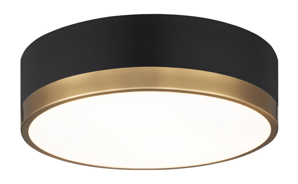 Trydor Ceiling Mount | M14302BKAG