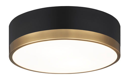 Trydor Ceiling Mount | M14302BKAG