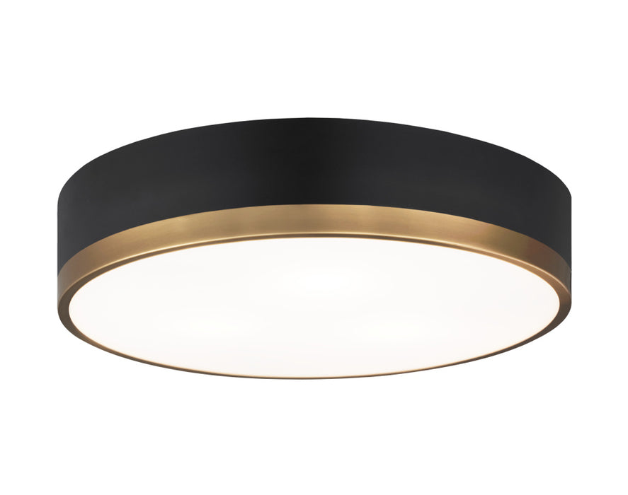 Trydor Ceiling Mount | M14303BKAG