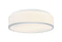 Echo Ceiling Mount | M15802CH