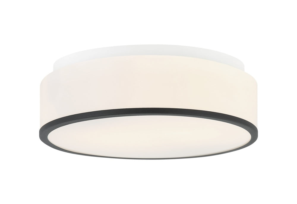 Echo Ceiling Mount | M15802MB