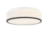 Echo Ceiling Mount | M15802MB