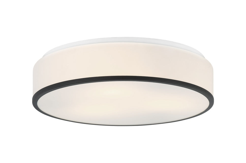 Echo Ceiling Mount | M15803MB