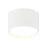 Caravon Ceiling Mount | M17101WH