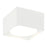 Caravon Ceiling Mount | M17111WH