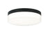 Felicity Ceiling Mount Matte Black | M21111MB