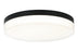 Felicity Ceiling Mount Matte Black | M21115MB
