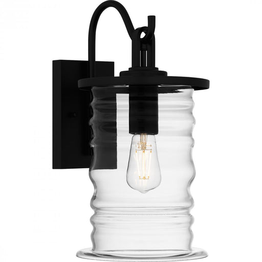 Noland 1-light Matte Black Outdoor Wall Lantern | NAD8408MBK