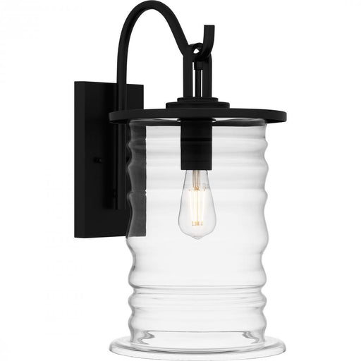 Noland 1-light Matte Black Outdoor Wall Lantern | NAD8410MBK