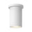 Nordic 6-in (3-in Dia.) White Led Exterior Ceiling | EC264106-WH