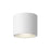 Nordic 4-in (5-in Dia.) White Led Exterior Ceiling | EC265104-WH