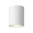 Nordic 6-in (5-in Dia.) White Led Exterior Ceiling | EC265106-WH
