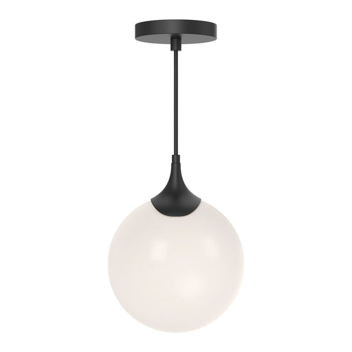 Nouveau | PD505108MBOP
