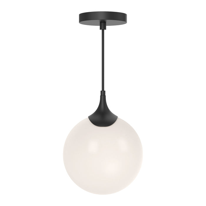 Nouveau | PD505108MBOP
