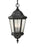 Martinsville Traditional 3-light Led Outdoor Exterior Pendant Lantern In Black Finish With Clear See | OL5911EN/BK