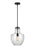 Baylor One Light Pendant | P1461ORB