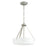 P500507-009 2-l Pendant Conv. | P500507-009