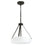 P500507-020 2-l Pendant Conv. | P500507-020
