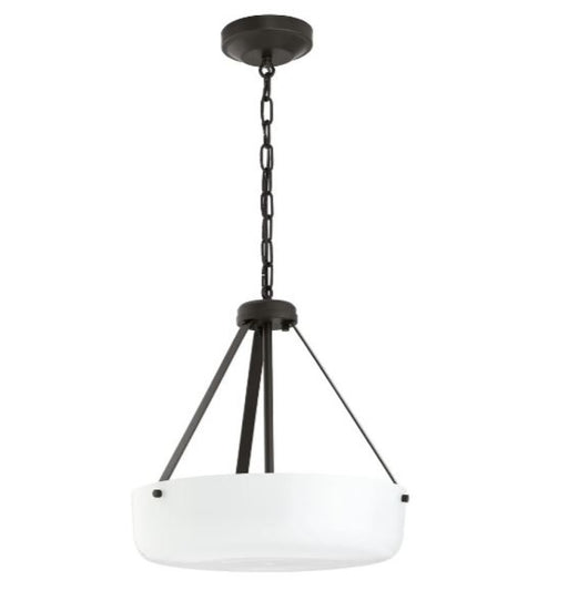 P500507-020 2-l Pendant Conv. | P500507-020