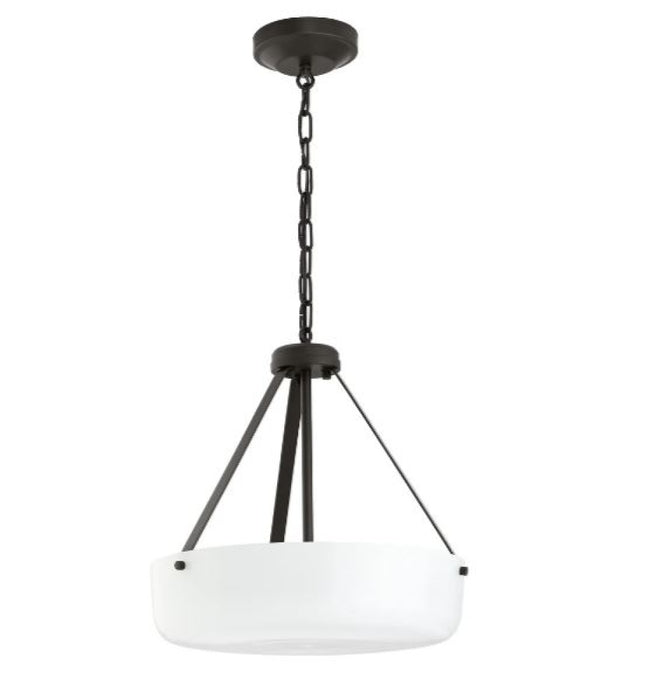 P500507-020 2-l Pendant Conv. | P500507-020