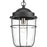 P550025-031 1-100w Med Hanging Lantern | P550025-031