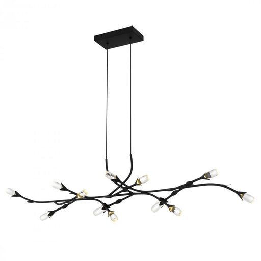 Cora Island Chandelier | PCCOR1250MBK