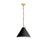 1lt Incand Pendant, Agb W/ Bk Shade | PCN-161P-AGB-797