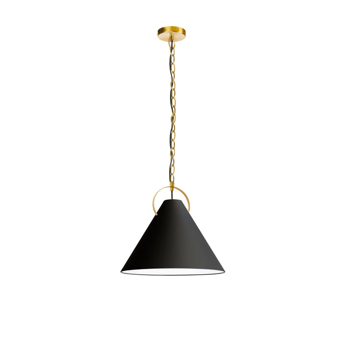 1lt Incand Pendant, Agb W/ Bk Shade | PCN-161P-AGB-797