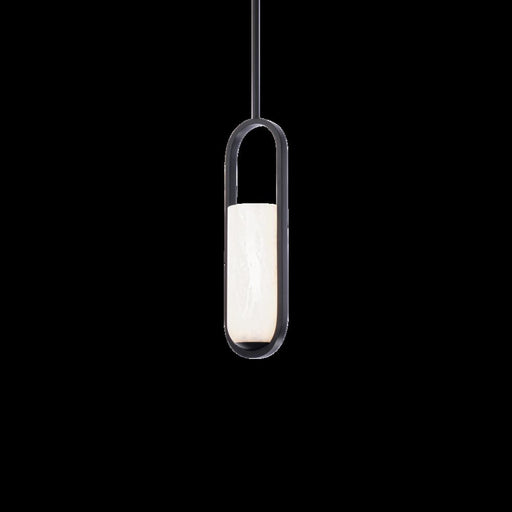 Rollins Mini Pendant Light | PD-26316-BK