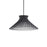 Zenya Chandelier Light | PD-74223-BK