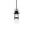 Balthus Outdoor Pendant Light | PD-W28515-BK