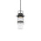 Balthus Outdoor Pendant Light | PD-W28515-ORB