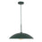 Regent 19-in Pine Green Socket Pendant | PD56019-PGN