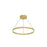 Cerchio 24-in Brushed Gold Led Pendant | PD87124-BG-UNV-010