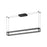 Plaza 48-in Black Led Linear Pendant | LP45548-BK-UNV