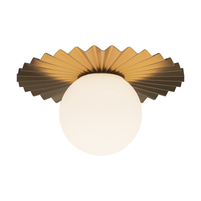 Plume | FM501212BGOP