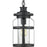 P550031-031 1-100w Med Hanging Lantern | P550031-031