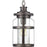 P550031-103 1-100w Med Hanging Lantern | P550031-103