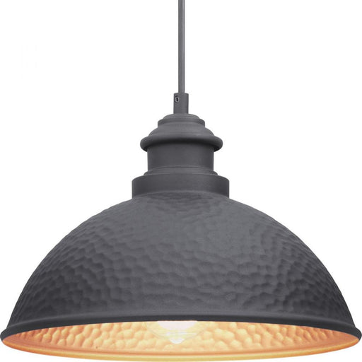 P550032-031 1-100w Med Hanging Lantern | P550032-031