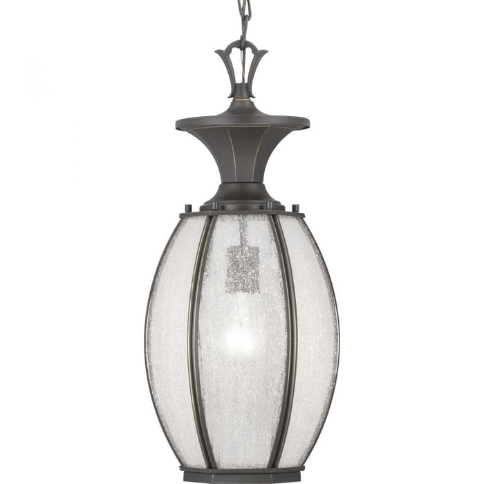 P550034-020 1 100w Med Hanging Lantern | P550034-020