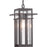 P550039-020 1-60w Med Hanging Lantern | P550039-020
