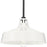 P550116-030 1-100w Med Outdoor Pendant | P550116-030