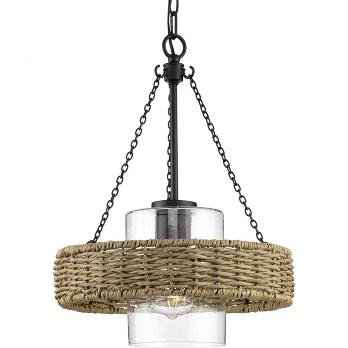 P550126-31m 1-l Outdoor Pendant | P550126-31M