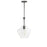 1lt Incandescent Pendant, Mb W/ Clr Glass | PTL-101P-MB