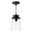 Quincy 6-in Clear Bubble Glass/textured Black 1 Light Exterior Pendant | EP533006BKCB