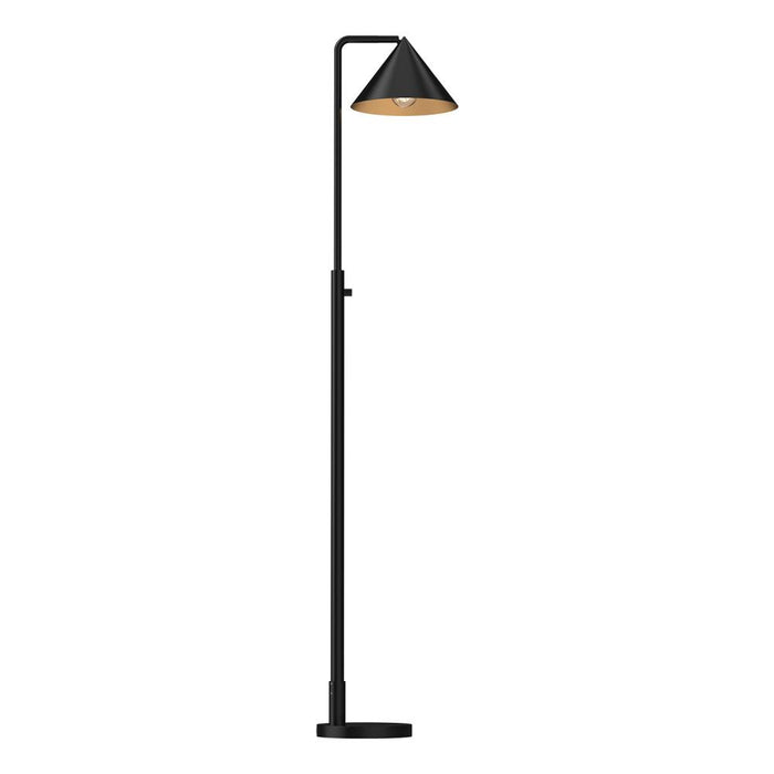 Remy 58-in Matte Black 1 Light Floor Lamp | FL485058MB