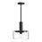 Royale 10-in Clear Glass/matte Black 1 Light Pendant | PD535010MBCL